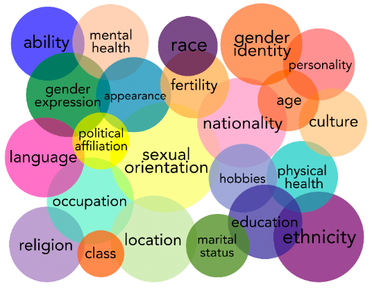 Overlapping circles of a large Venn Diagram with different aspects of social categorizations (e.g., ability, race, sexual orientation, class) symbolizing intersectionality