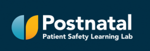 Postnatal Patient Safety Learning Lab