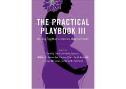 Cover of the Practical Playbook III